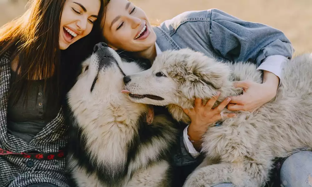 Importance of laughter